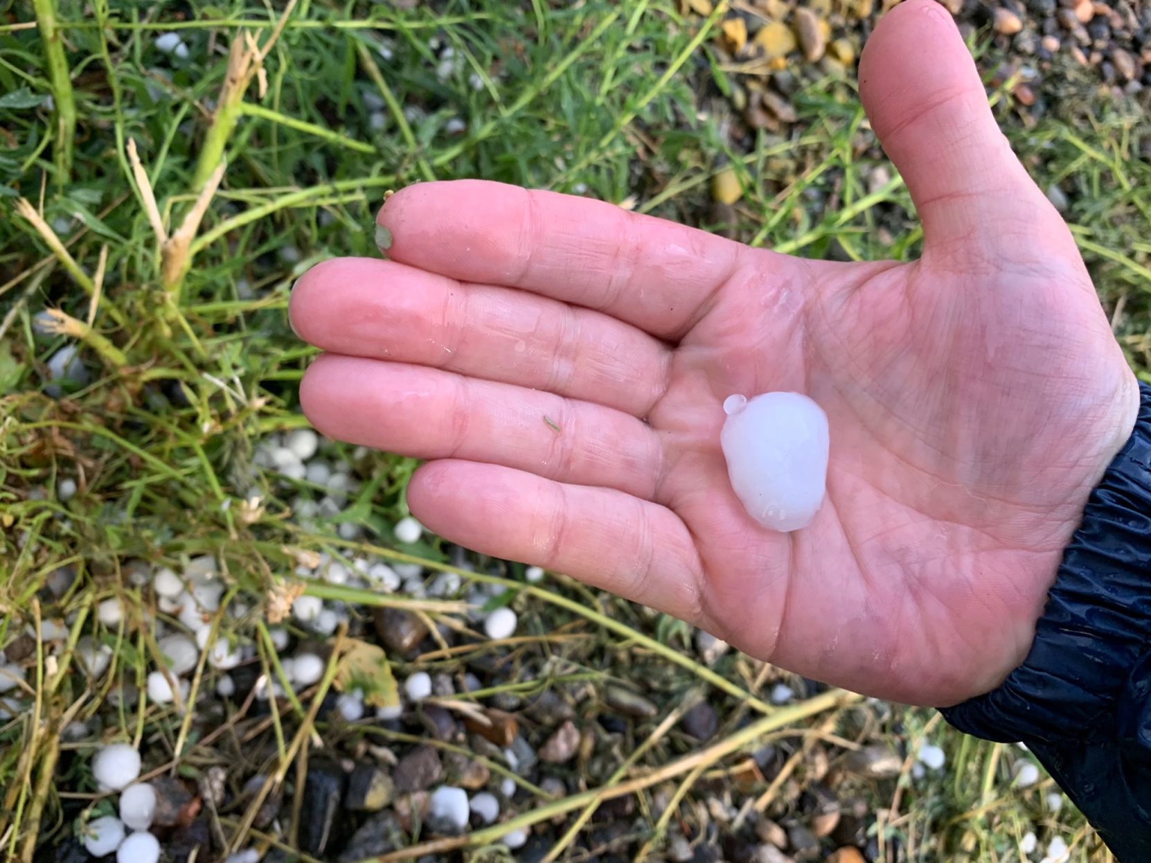 Hail